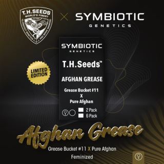 Afghan Grease 2 u. fem. T.H. Seeds X Symbiotic Genetics