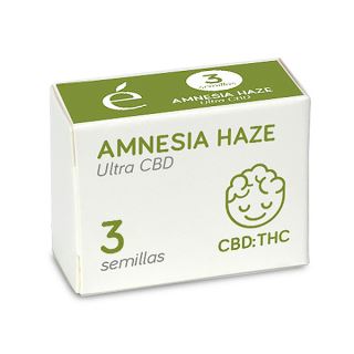 Amnesia Haze Ultra CBD 3 u. fem. Elite Seeds