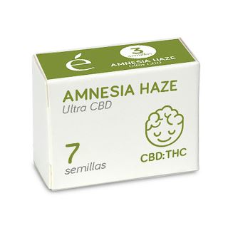 Amnesia Haze Ultra CBD 7 u. fem. Elite Seeds