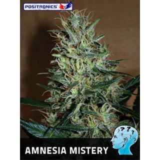 Amnesia Mistery  1 u. fem. Positronics Seeds