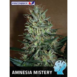 Amnesia Mistery 25 u. fem. Positronics Seeds