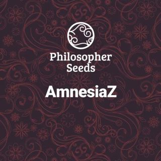AmnesiaZ 3 u fem Philosopher