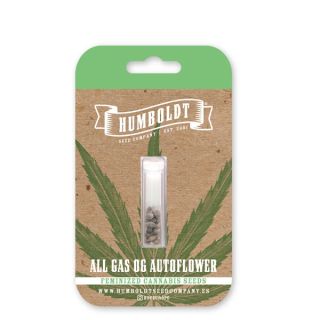 24978 - Auto All Gas OG 3 u. fem Humbold Seeds Company