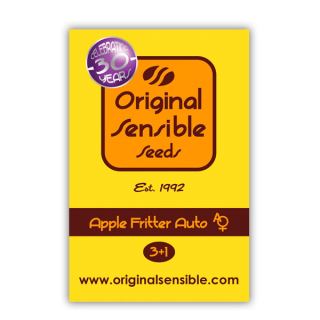 Auto Apple Fritter  1 u. fem. Original Sensible