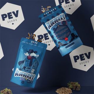 15101 - Auto Blueberry 5 u Pev Seeds