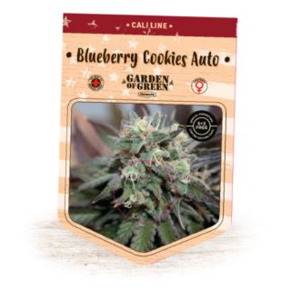 Auto Blueberry Cookies  1 u. fem. Garden of Green Seeds