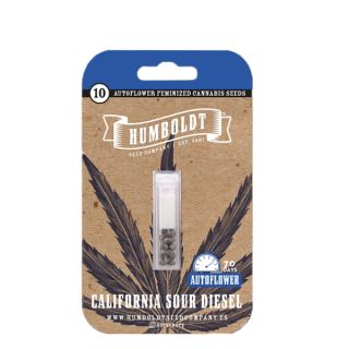 24984 - Auto California Sour Diesel 3 u. fem Humbold Seeds Company