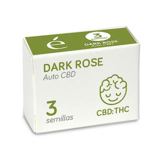 Auto Dark Rose CBD 3 u. fem. Elite Seeds