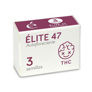 14525 - Auto Elite 47 - 3 u. fem. Elite Seeds