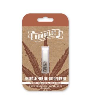 24993 - Auto Emerald Fire OG 3 u. fem Humbold Seeds Company