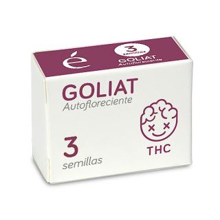 Auto Goliat 3 u. fem. Elite Seeds