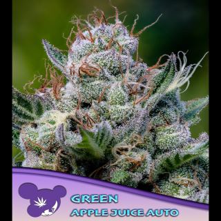 Auto Green Apple Juice  3 u. fem Anesia