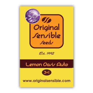 Auto Lemon Oasis  1 u. fem. Original Sensible
