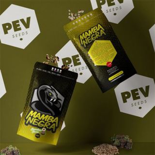 15103 - Auto Mamba Negra 5 u Pev Seeds