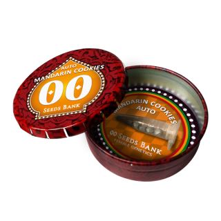 25256 - Auto Mandarin Cookies  25 u. fem. 00 Seeds