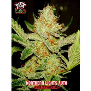 Auto Northern Lights 1 u. fem.  Xtreme Seeds