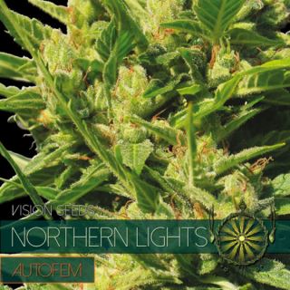 9247 - Auto Northern Lights 3 u. fem. Vision Seeds