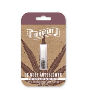 25008 - Auto OG Kush 3 u. fem Humbold Seeds Company
