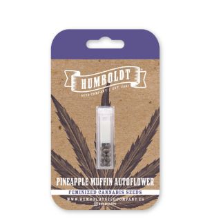 25012 - Auto Pineapple Muffin 3 u. fem Humbold Seeds Company