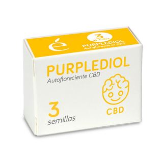 14552 - Auto Purplediol CBD 3 u. fem. Elite Seeds