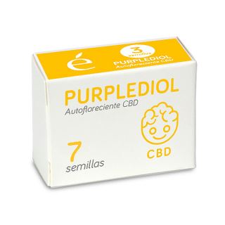 14553 - Auto Purplediol CBD 7 u. fem. Elite Seeds