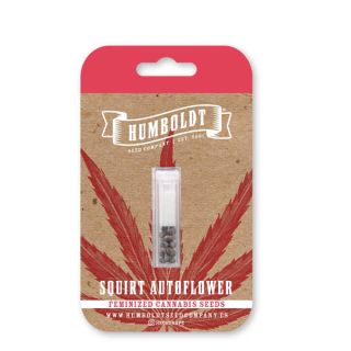 25018 - Auto Squirt 3 u. fem Humbold Seeds Company