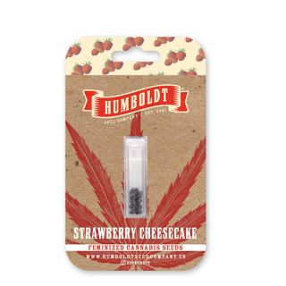 25020 - Auto Strawberry Cheesecake 3 u. fem Humbold Seeds Company