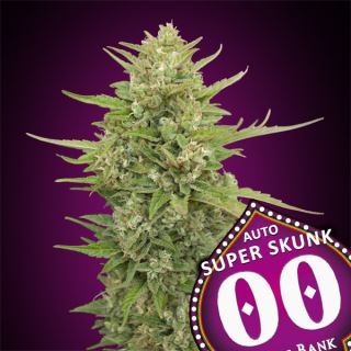 Auto Super Skunk 100 u. fem. 00 Seeds