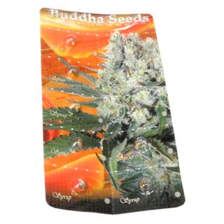 ASYR - Auto Syrup 1 u. Blister x 10 fem. Buddha Seeds