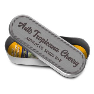 24828 - Auto Tropicana Cherry   5 + 2 u. fem. Advanced Seeds