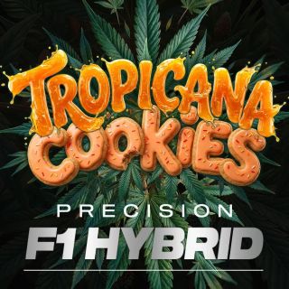 27422 - Auto Tropicana Cookies   5 u. fem. Barney's