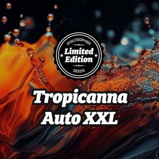 Auto Tropicanna XXL 5 u fem Ed.Especial Philosopher