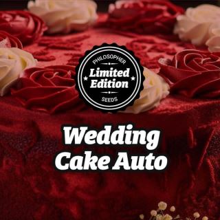 19756 - Auto Wedding Cake 3 u fem Philosopher