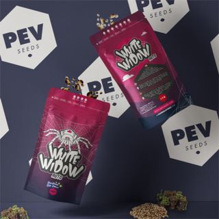 15104 - Auto White Widow 5 u Pev Seeds