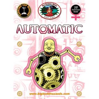 BIGB - Automatic 10 u. fem. Big Buddha Seeds