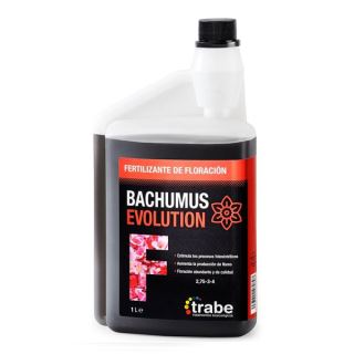 BEF1 - Bachumus Evolution Floración  1 lt. Trabe