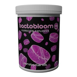 Bactobloom   Tabs 250 ud. Agrobacterias