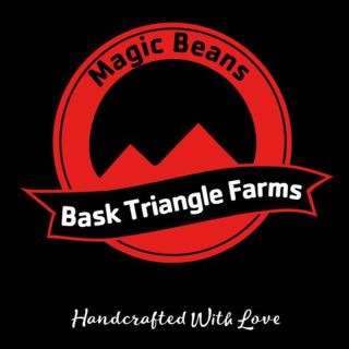27317 - Badaboom  3+1 Bask Triangle Farms
