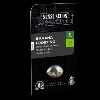 12278 - Banana Frosting  1 u. fem. Sensi Seeds Research