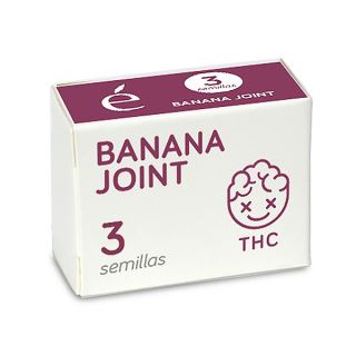 Banana Joint 3 u. fem. Elite Seeds