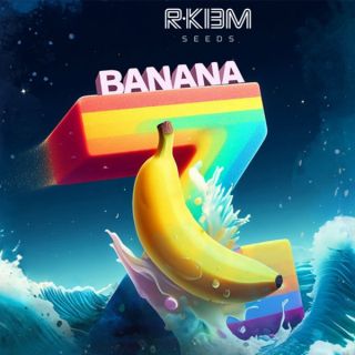 25698 - Banana Z  3 u. fem R-Kiem Seeds