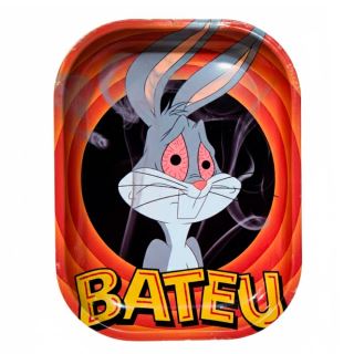 30937C - Bandeja Metal 18x14 cm. Bugs