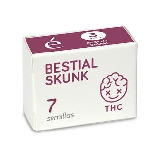 14512 - Bestial Skunk 7 u. fem. Elite Seeds