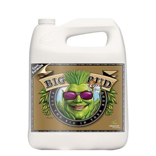 13318 - Big Bud Coco Liquid  5 lt. Advanced Nutrients