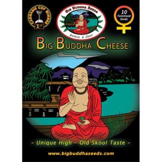C10F - Big Buddha Cheese 10 u. fem. Big Buddha Seeds