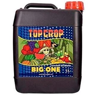 Big One 5 lt. Top Crop