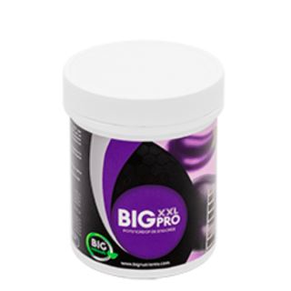 8310 - Big XXL 500 gr. Big Nutrients