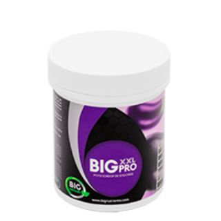 Big XXL Pro  500 gr. Big Nutrients