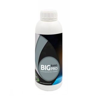 Big bang Pro 1 litro Big Nutrients