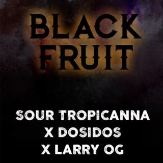 21390 - Black Fruit  3 u. fem. Tramuntana Seeds